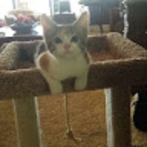 Meet your Posher, Jackie